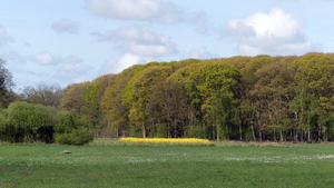 P1020840