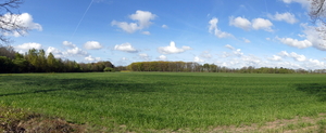 P1020843