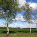 P1020844