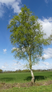 P1020845