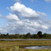 P1020848