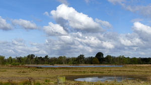 P1020848
