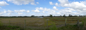 P1020850