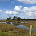 P1020854