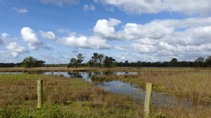 P1020854