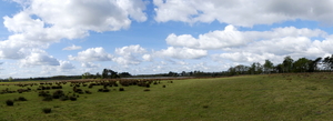 P1020855