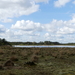 P1020856
