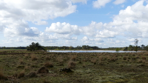P1020856