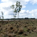 P1020857