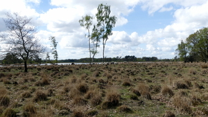P1020857