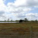 P1020859