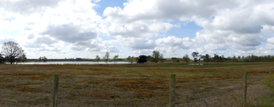 P1020859