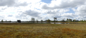 P1020861