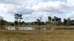 P1020862