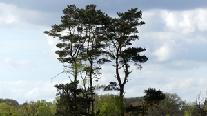 P1020863