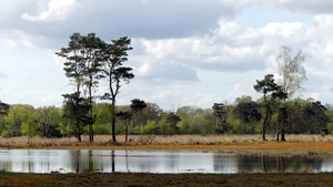 P1020864