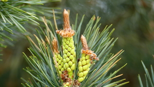 P1020865