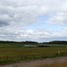 P1020868