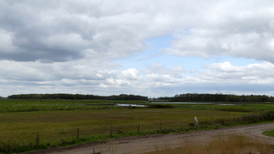 P1020868
