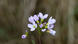 P1020878