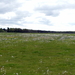 P1020877