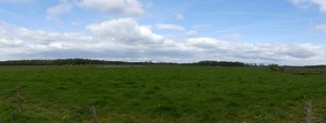 P1020881