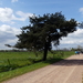P1020884