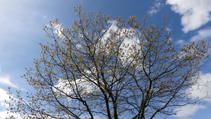 P1020887