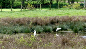 P1020890