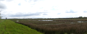 P1020893