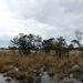 P1020897