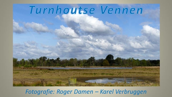 2017-04-23 TURNHOUTSE VENNEN