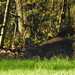 DSCN3144