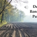 De Ronde Put
