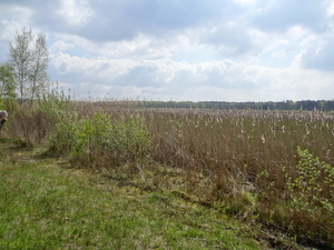 DSC08278