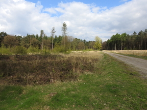 DSCN3207