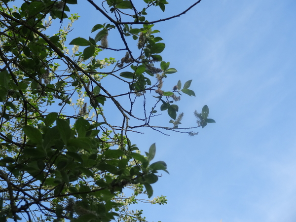 DSC08335