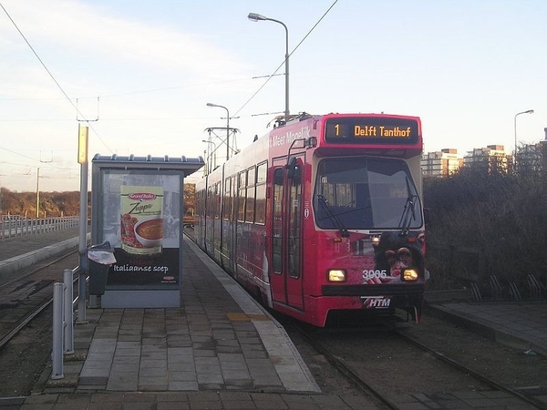 3005 Zwarte Pad 18-01-2009
