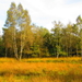 Diversen 201114 100
