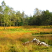 Diversen 201114 101