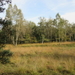 Diversen 201114 098
