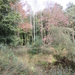 Diversen 201114 090