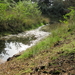 Diversen 201114 089