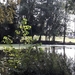 20180830_133251_resized