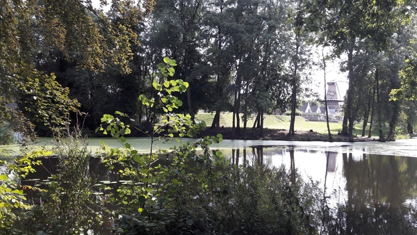 20180830_133251_resized