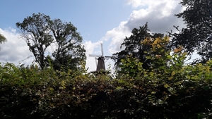 20180830_133921_resized