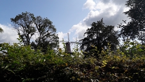 20180830_133941_resized