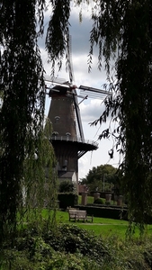 20180830_134110_resized