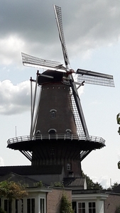 20180830_134202_resized