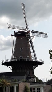 20180830_134204_resized
